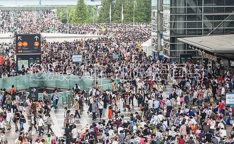 漫蛙漫画网页版免费进入